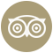 tripadvisor